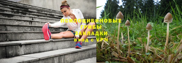 кристаллы Новокубанск
