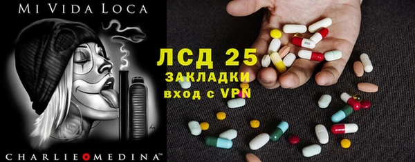 ешки Дубна