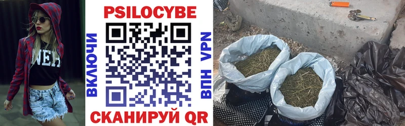 Галлюциногенные грибы мицелий как найти закладки Игарка